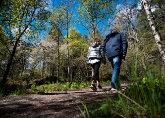 Coaching i skogen – naturmetoden gir gode resultater.