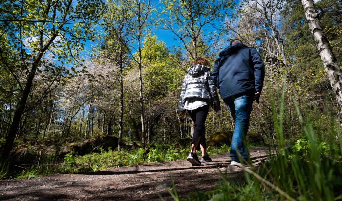 Coaching i skogen – naturmetoden gir gode resultater.