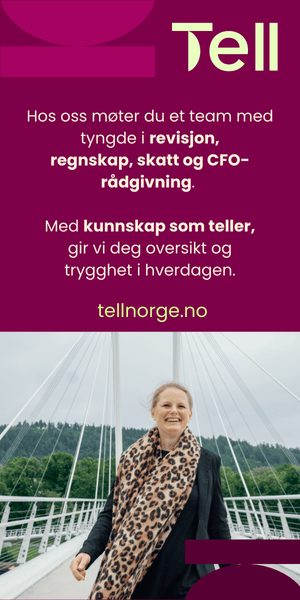 Tell annonse 300x600